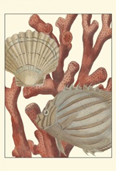 Coastal Collection IV