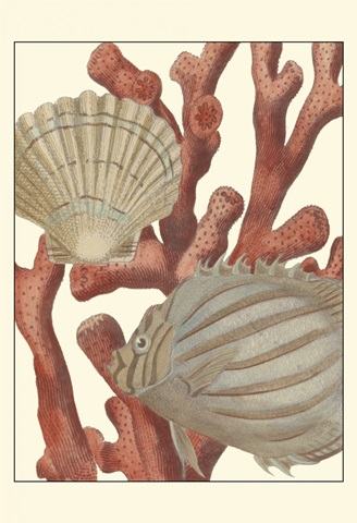 Coastal Collection IV