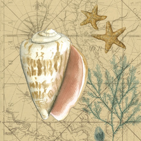 Coastal Map Collage II