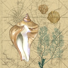 Coastal Map Collage III