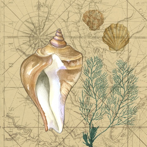 Coastal Map Collage III