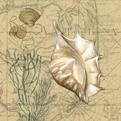 Coastal Map Collage IV