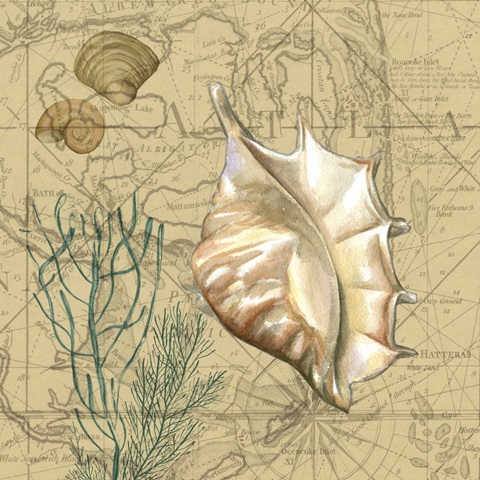 Coastal Map Collage IV
