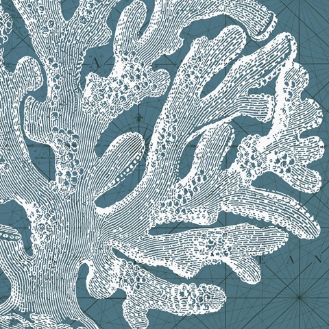 Coastal Menagerie II