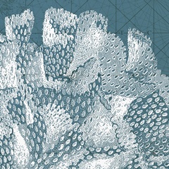 Coastal Menagerie III