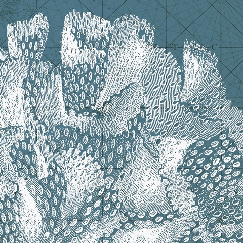 Coastal Menagerie III