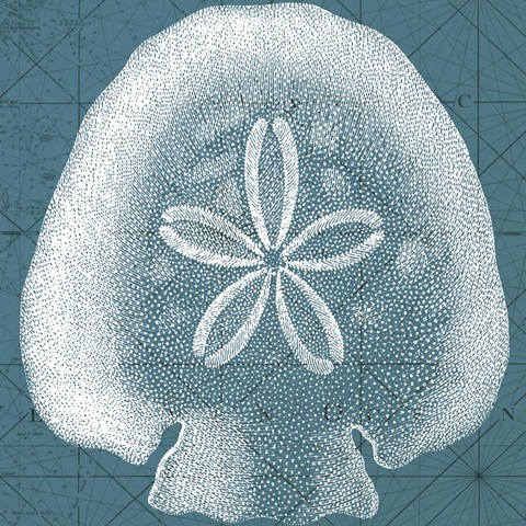 Coastal Menagerie IV