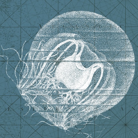 Coastal Menagerie IX