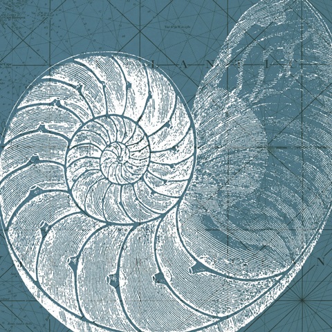 Coastal Menagerie VI