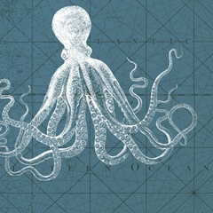 Coastal Menagerie VII