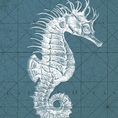 Coastal Menagerie VIII