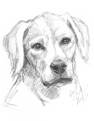 Constant Companion I