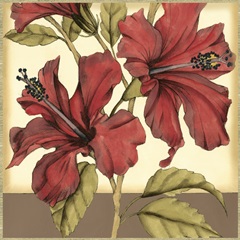 Cropped Sophisticated Hibiscus II