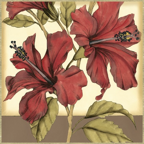 Cropped Sophisticated Hibiscus II