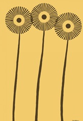 Dandy Dichromatics I