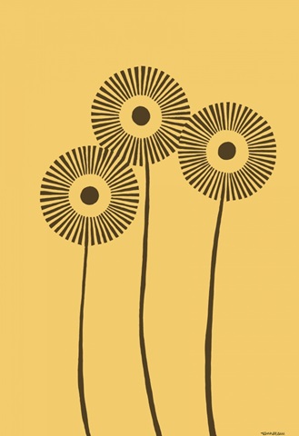 Dandy Dichromatics III