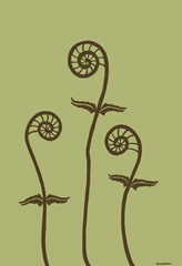 Dichromatic Fiddleheads III