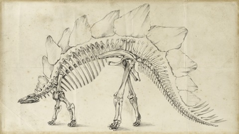 Dinosaur Study III
