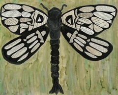 Dragonfly Text