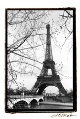Eiffel Tower Along The Seine River