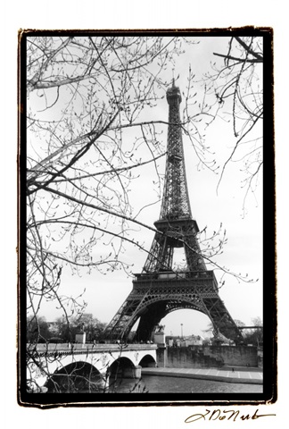 Eiffel Tower Along The Seine River