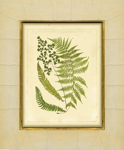 Fern with Crackle Mat II