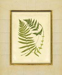 Fern with Crackle Mat III