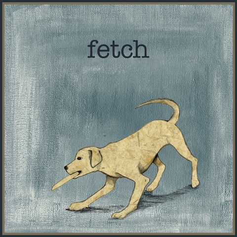 Fetch