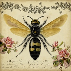 From the Rose Garden I