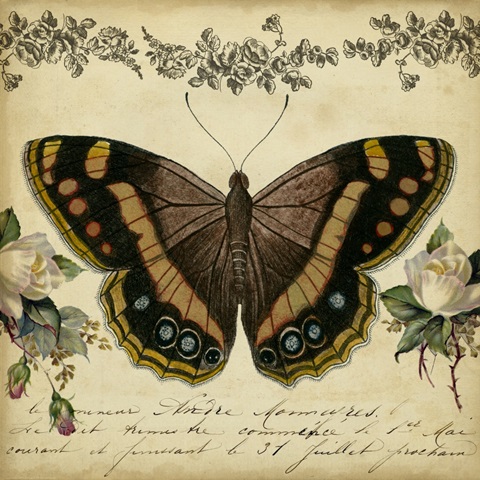 From the Rose Garden II