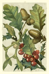 Fruits and Foliage II
