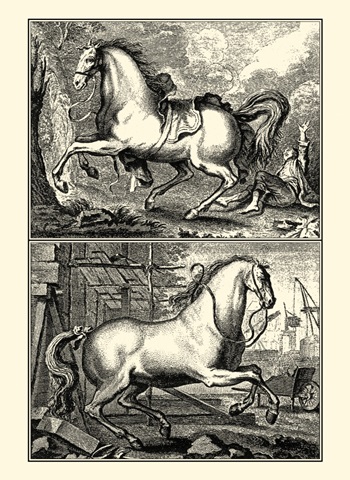 Galloping Horses I