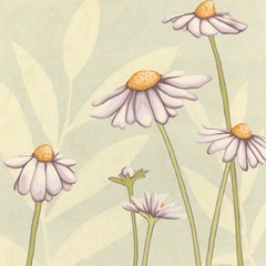 Garden Silhouette IV