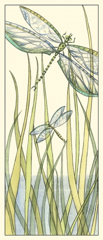 Gossamer Dragonflies II