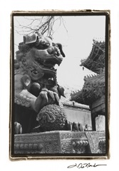 Imperial Lion, Beijing