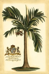British Colonial Palm I