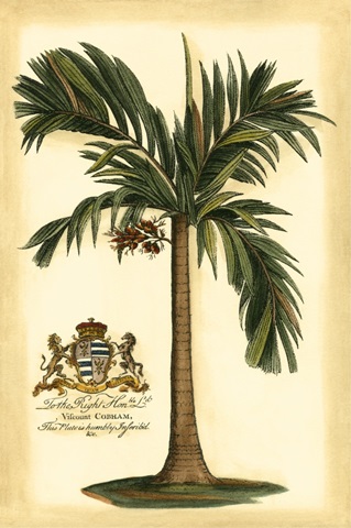 British Colonial Palm I