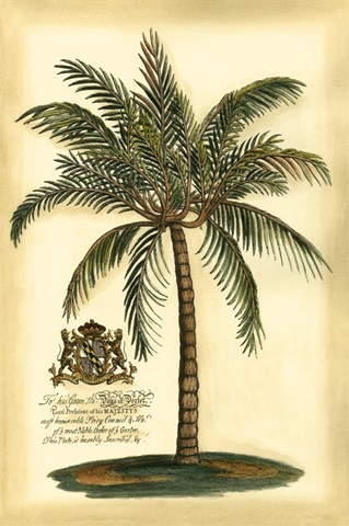 British Colonial Palm III