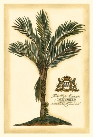 British Colonial Palm IV