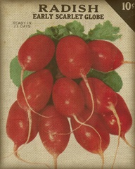 Heirloom Variety I