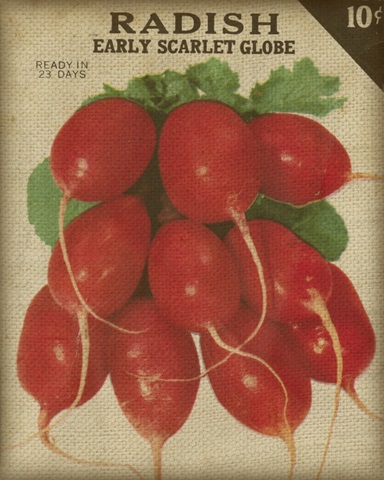 Heirloom Variety I