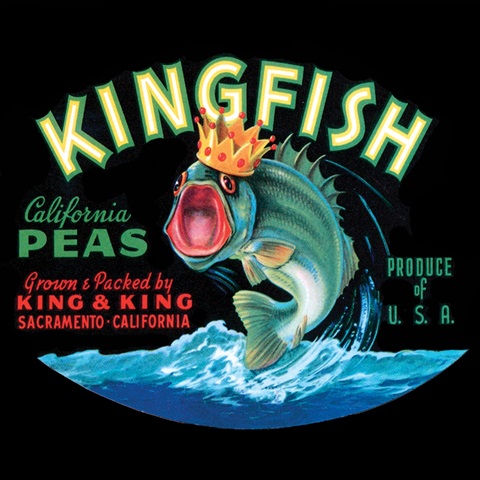 Kingfish