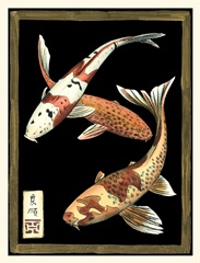 Koi Fish on Black I