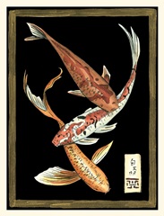 Koi Fish on Black II
