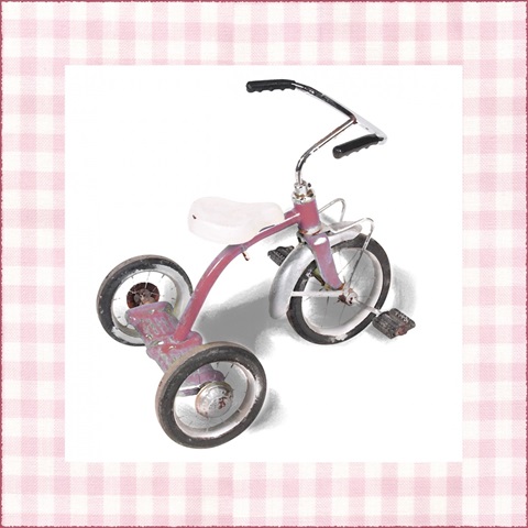 Krista's Tricycle