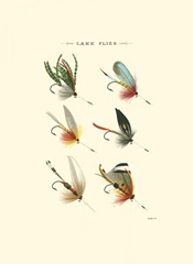 Lake Flies I