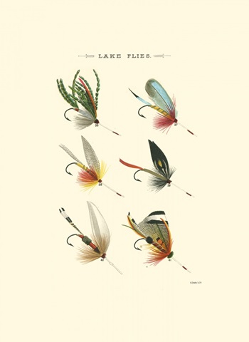 Lake Flies I