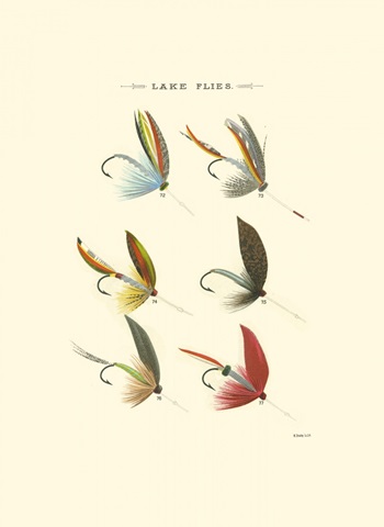 Lake Flies II
