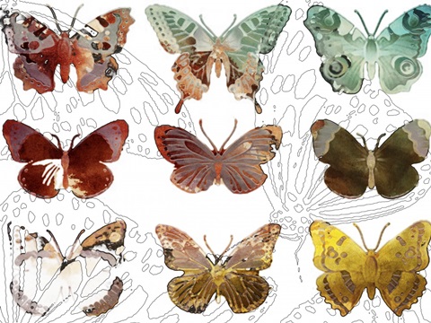 Layered Butterflies II