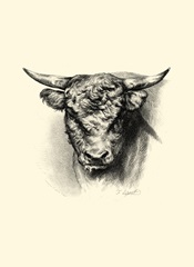 Antique Cattle III